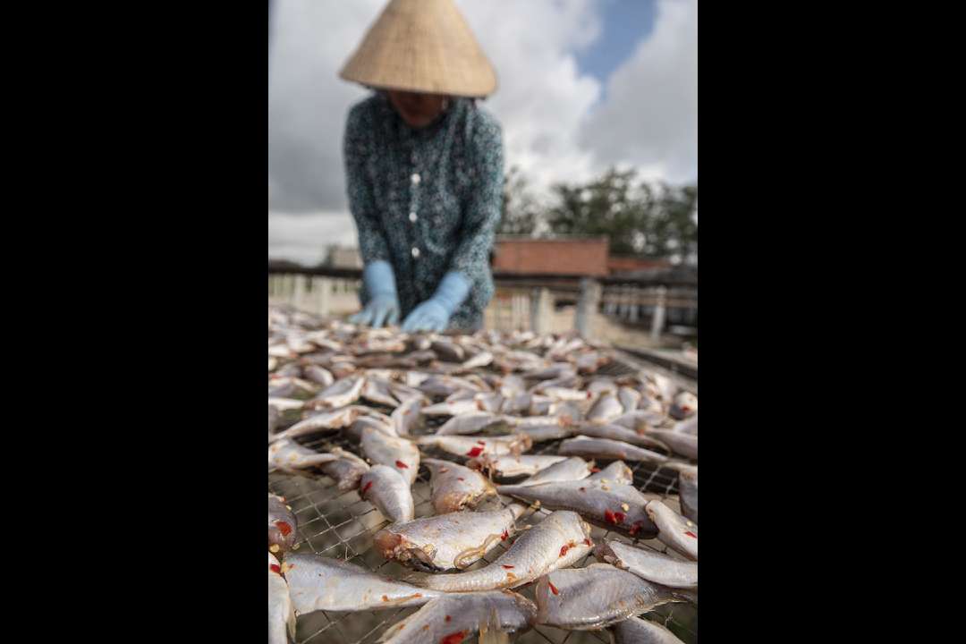 Vietnam Vietnam